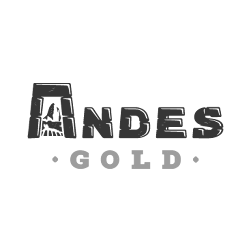 logoandes